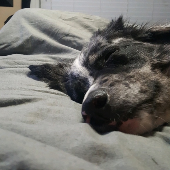 Meet your Posher, Jackie - Picture 1 of 1